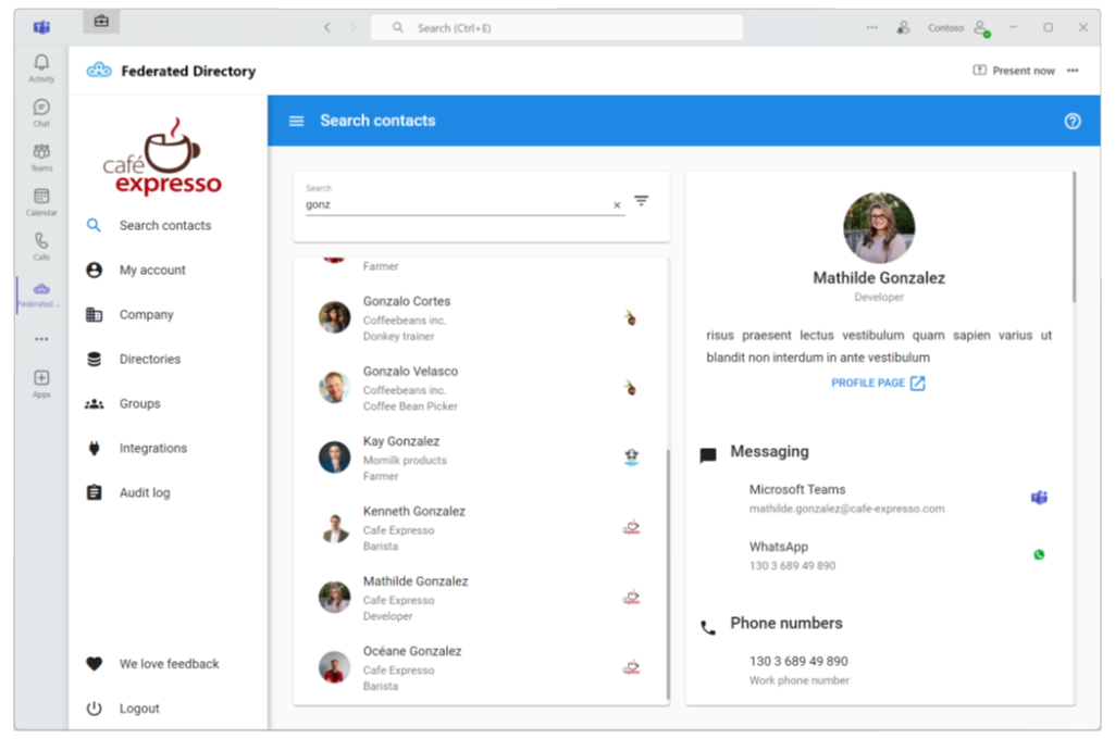 The Federated Directory app in Teams on a desktop